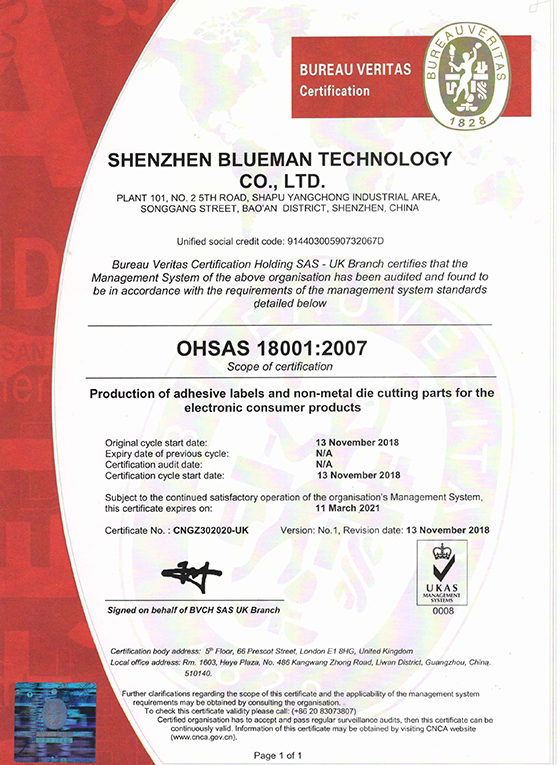 E OHSAS 18001